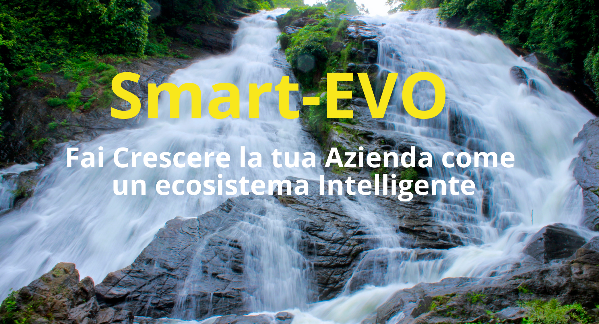 Smart-Evo - Learn to evolve like a living thing